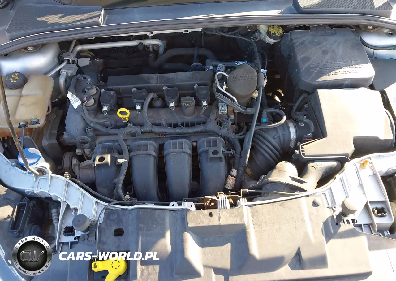 2016 Ford Focus Se VIN:1FADP3K29GL274776 - 10