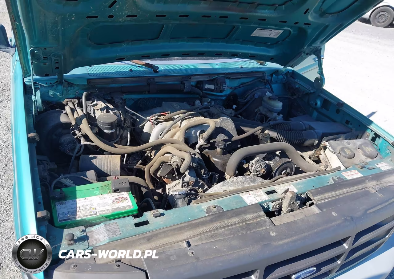 1995 Ford F150 VIN:1FTEF15Y4SNA72642 - 10