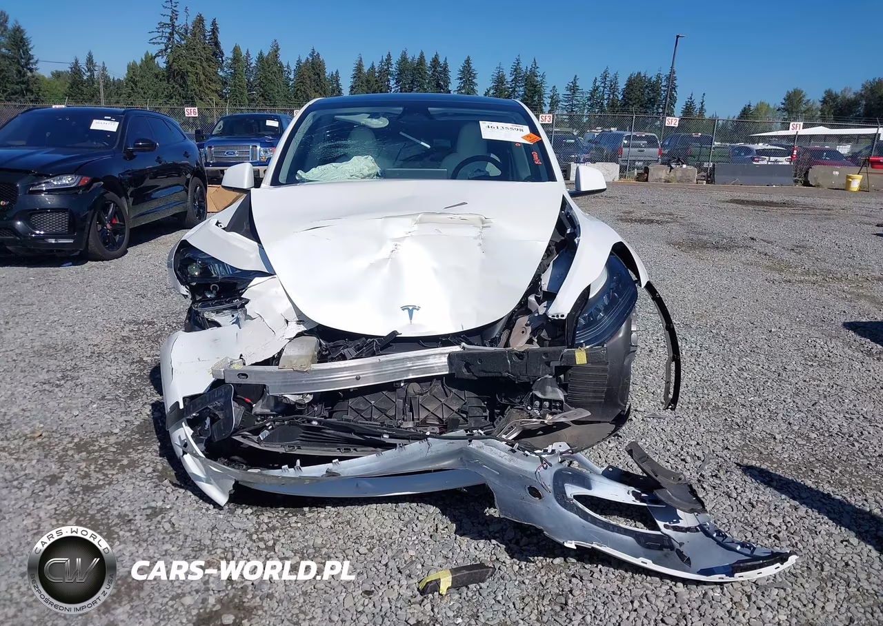 2024 Tesla Model Y Long Range Dual Motor All-Wheel Drive VIN:7SAYGDEE5RF062067 - 12