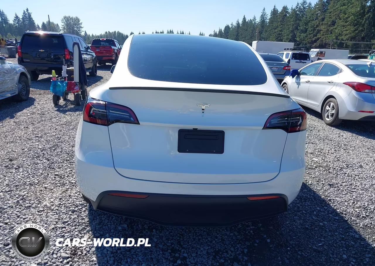 2024 Tesla Model Y Long Range Dual Motor All-Wheel Drive VIN:7SAYGDEE5RF062067 - 16