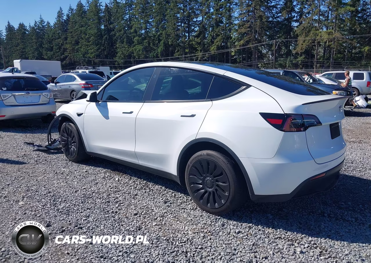 2024 Tesla Model Y Long Range Dual Motor All-Wheel Drive VIN:7SAYGDEE5RF062067 - 3