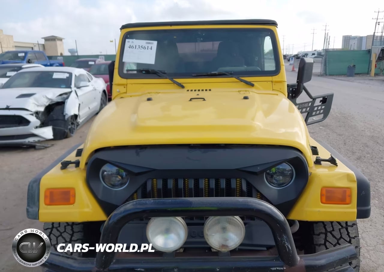 2004 Jeep Wrangler X VIN:1J4FA39S74P768336 - 6