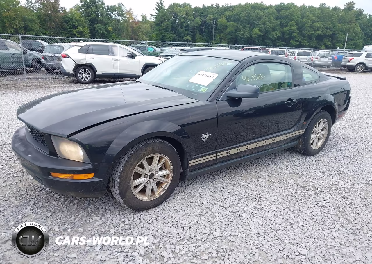 2009 Ford Mustang V6-V6 Premium VIN:1ZVHT80N495114892 - 2
