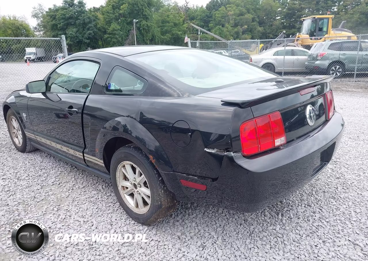 2009 Ford Mustang V6-V6 Premium VIN:1ZVHT80N495114892 - 3
