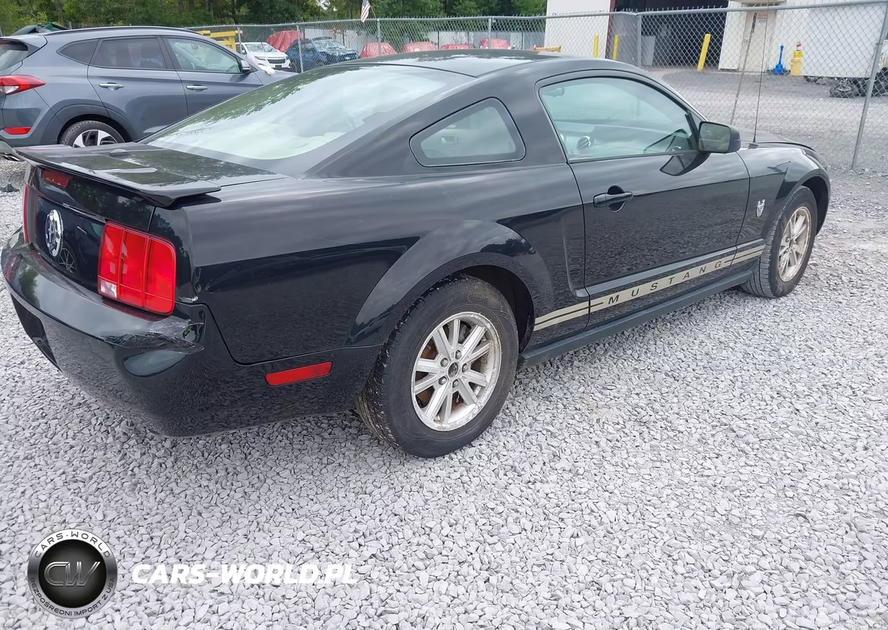 2009 Ford Mustang V6-V6 Premium VIN:1ZVHT80N495114892 - 4