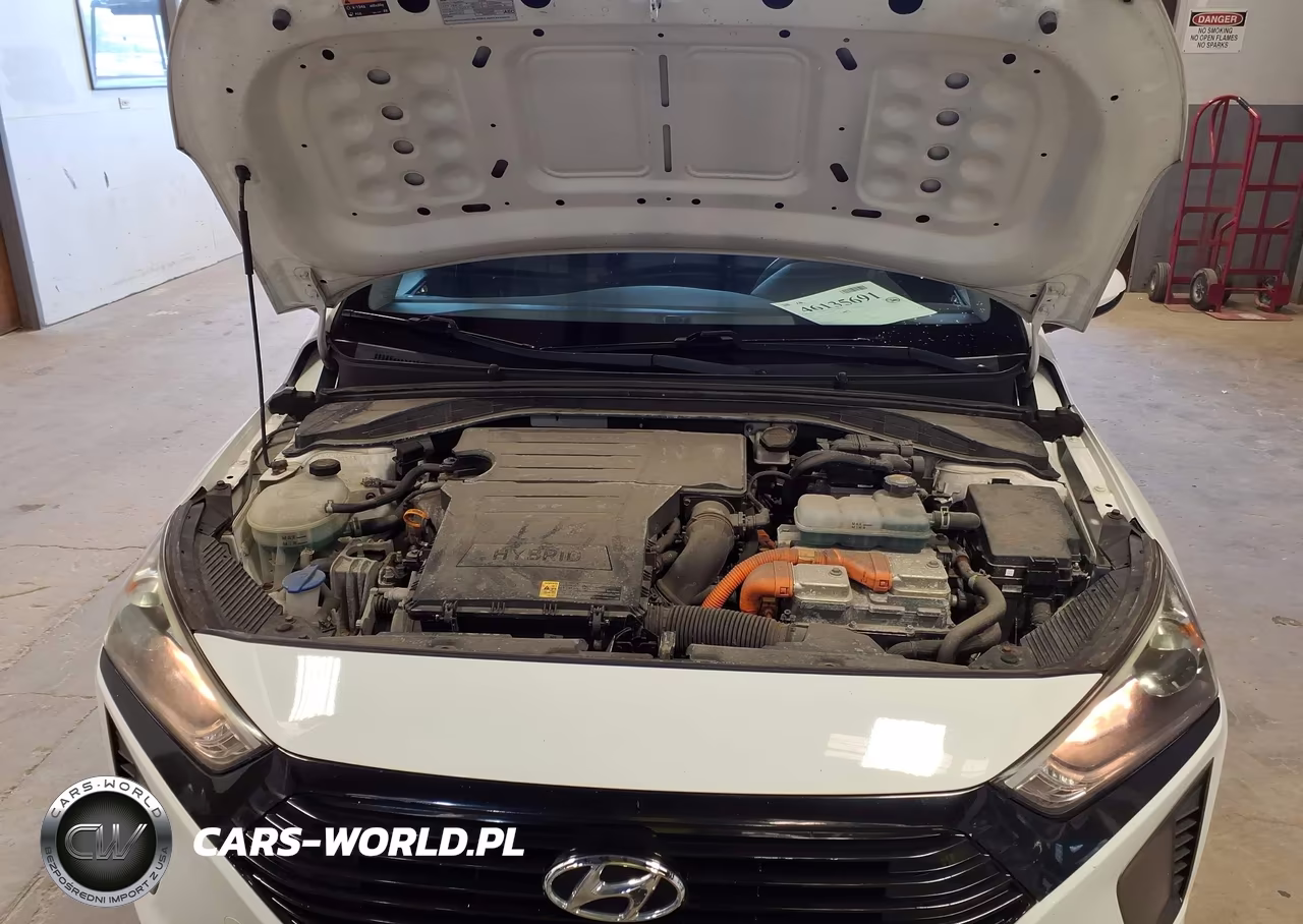 2019 Hyundai Ioniq Hybrid Blue VIN:KMHC65LC2KU160161 - 10