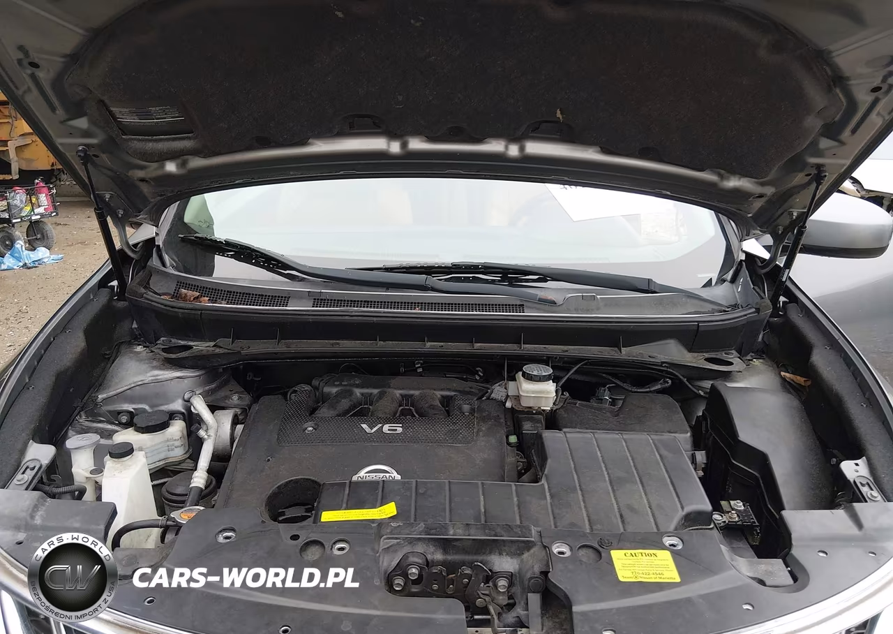 2014 Nissan Murano Crosscabriolet VIN:JN8AZ1FY6EW300969 - 10