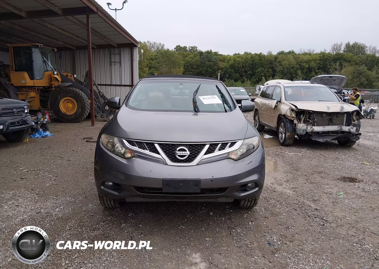 2014 Nissan Murano Crosscabriolet VIN:JN8AZ1FY6EW300969 - 6