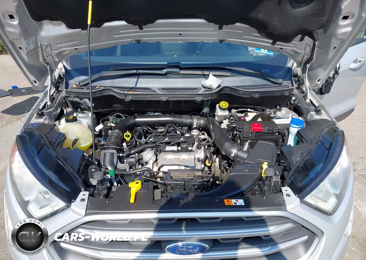 2020 Ford Ecosport Se VIN:MAJ3S2GE6LC317407 - 10