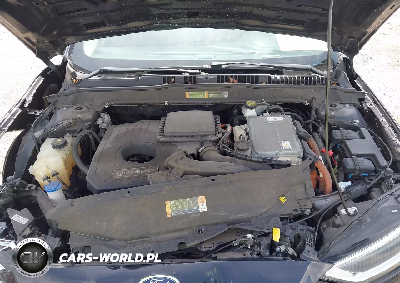 2019 Ford Fusion Hybrid Titanium VIN:3FA6P0RU4KR120260 - 10