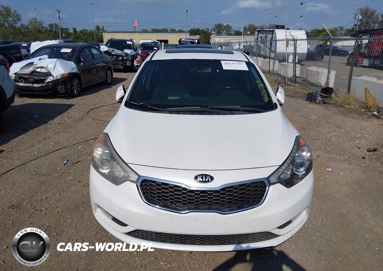 2014 Kia Forte Ex VIN:KNAFZ4A88E5087830 - 12