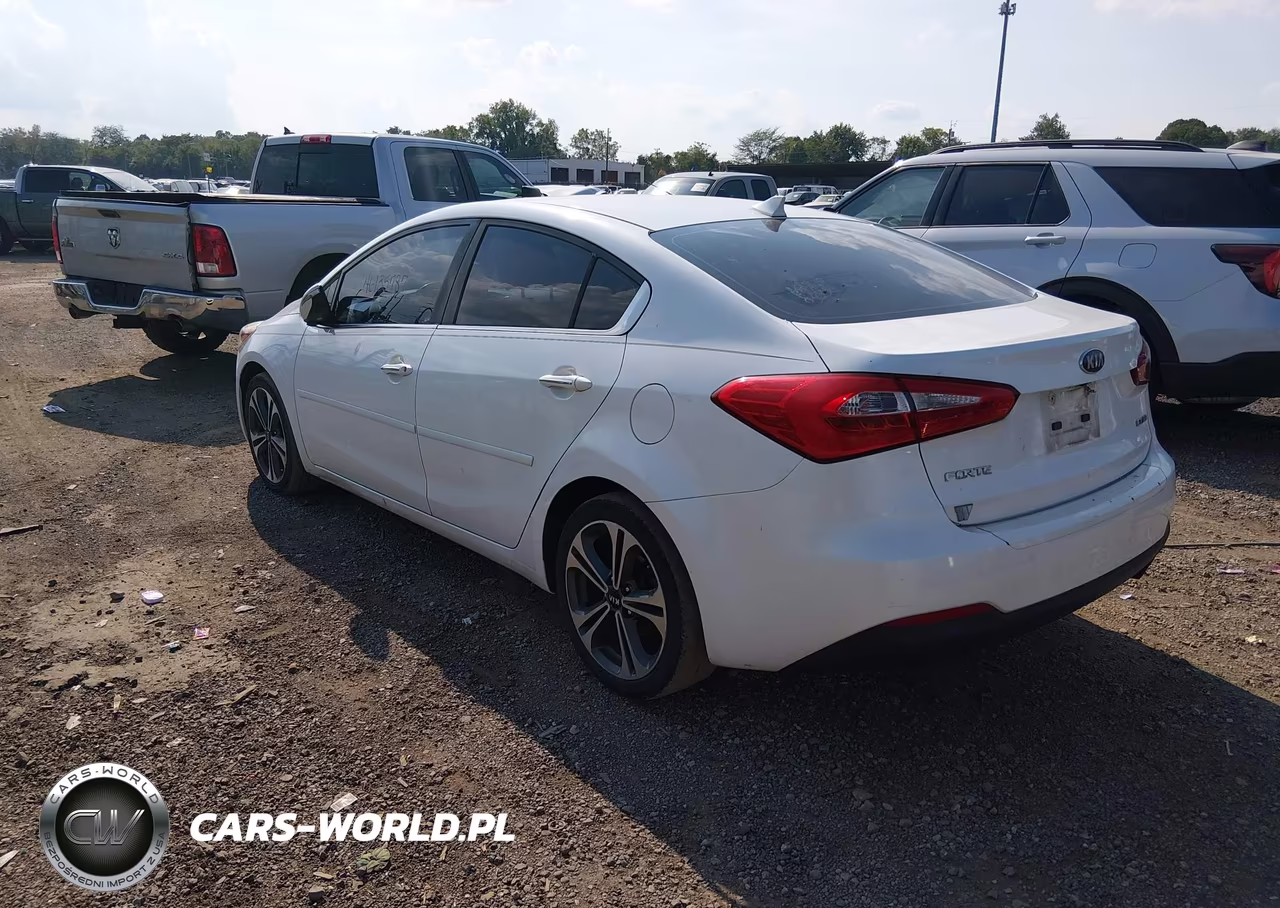 2014 Kia Forte Ex VIN:KNAFZ4A88E5087830 - 3