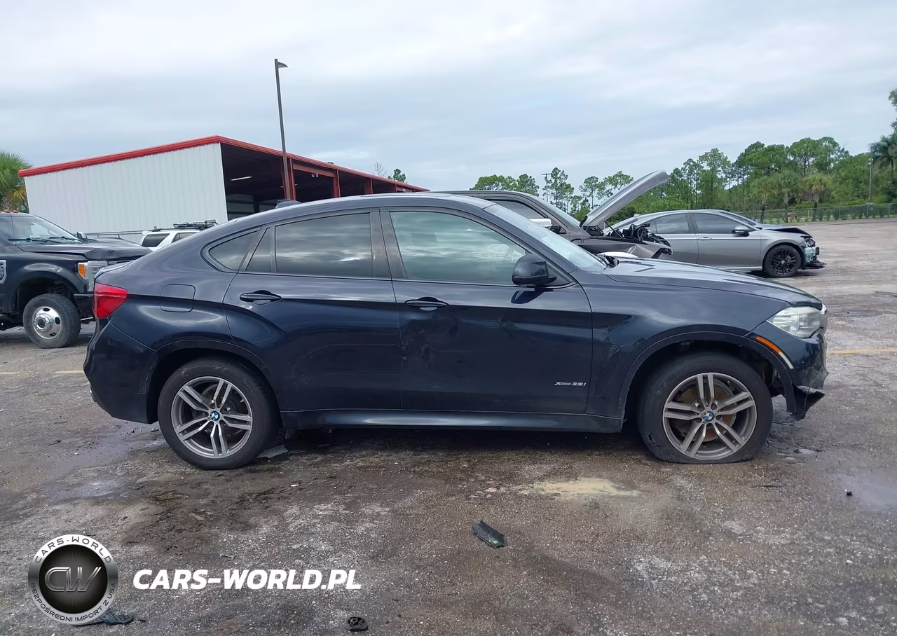 2015 BMW X6 xDrive35I VIN:5UXKU2C58F0F95206 - 13