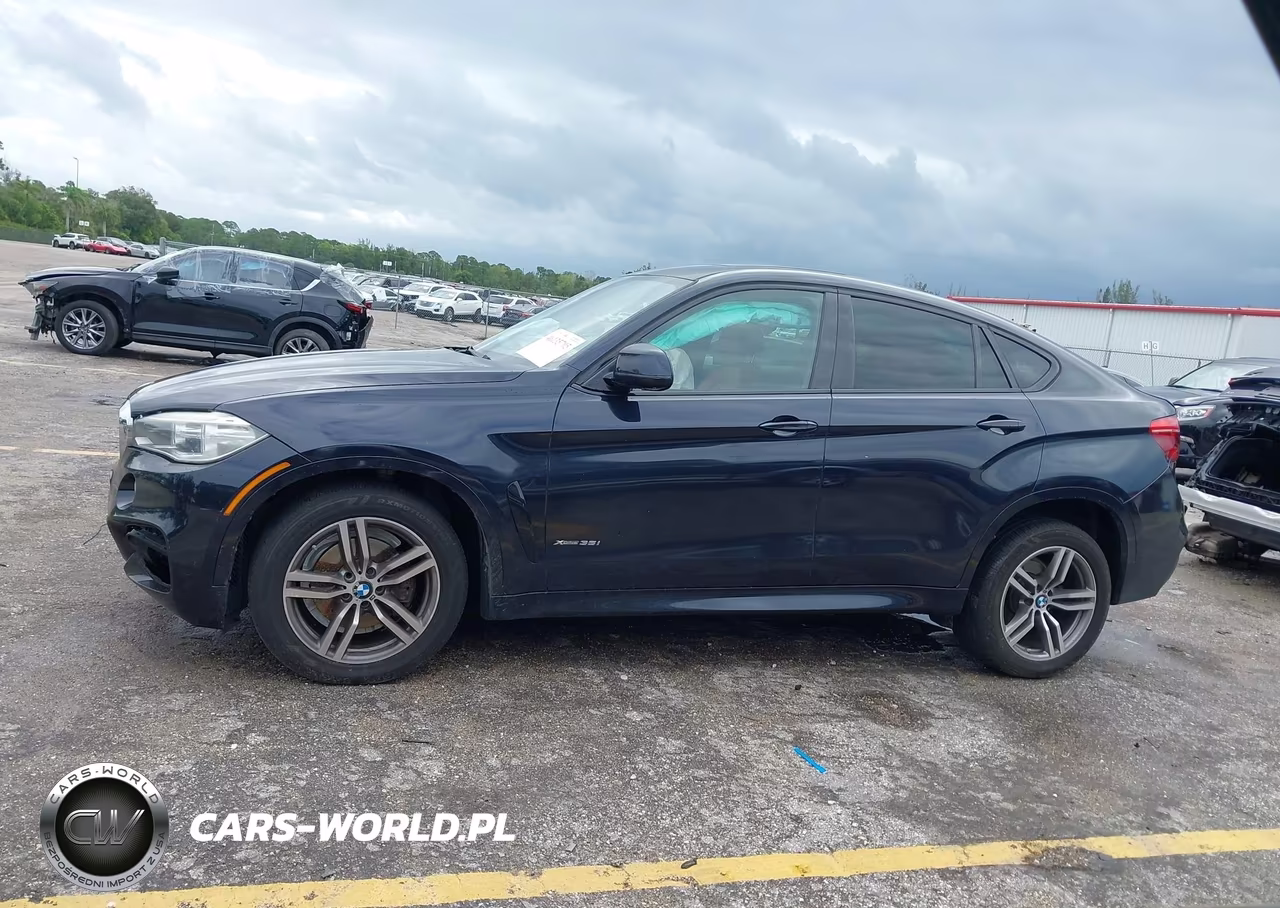 2015 BMW X6 xDrive35I VIN:5UXKU2C58F0F95206 - 14