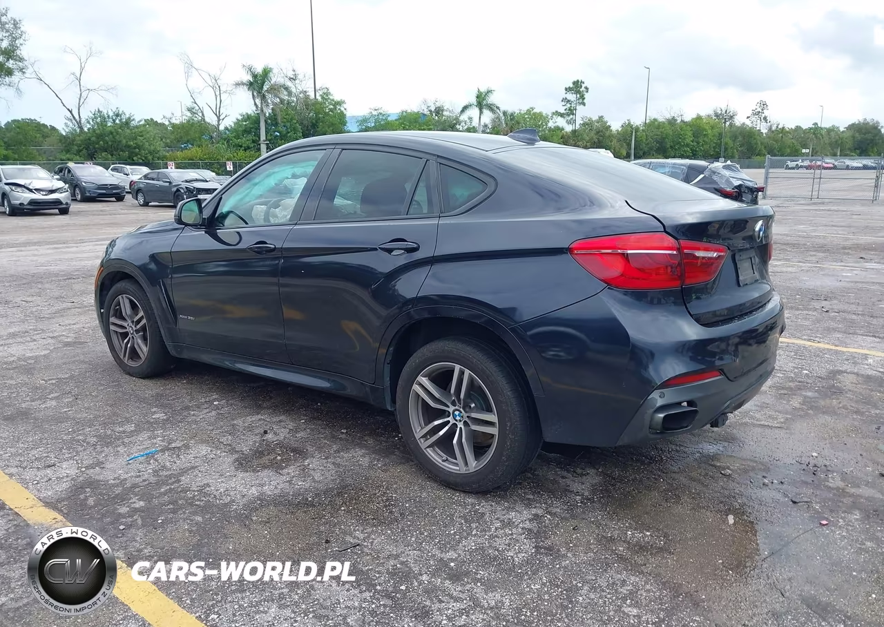 2015 BMW X6 xDrive35I VIN:5UXKU2C58F0F95206 - 3