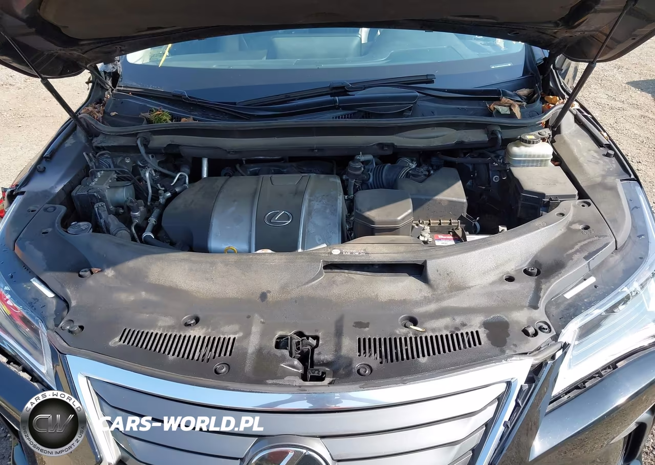 2018 Lexus Rx 350 VIN:JTJBZMCA0J2036641 - 10