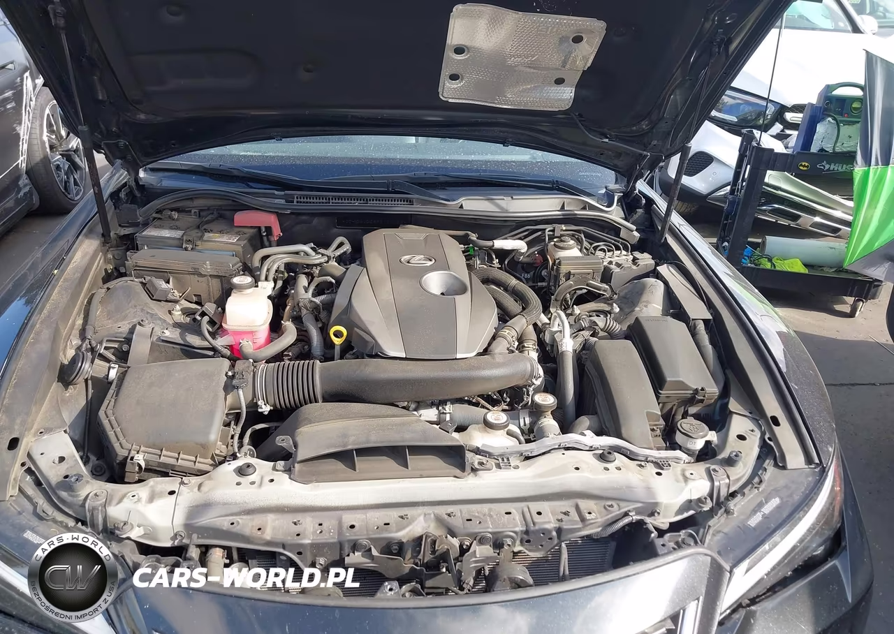 2023 Lexus Is 300 VIN:JTHDA1D28P5124058 - 10
