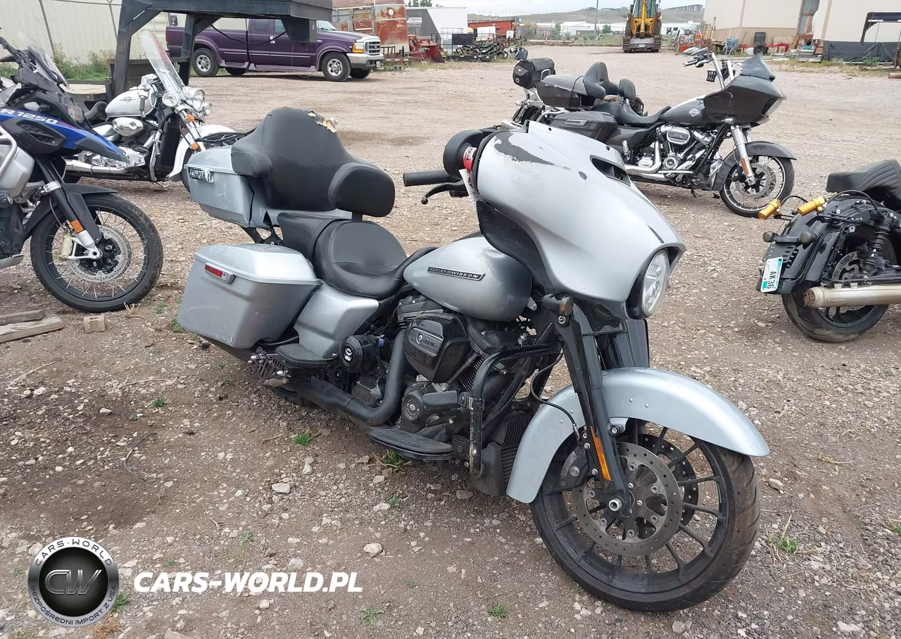 2019 Harley-Davidson Flhxs