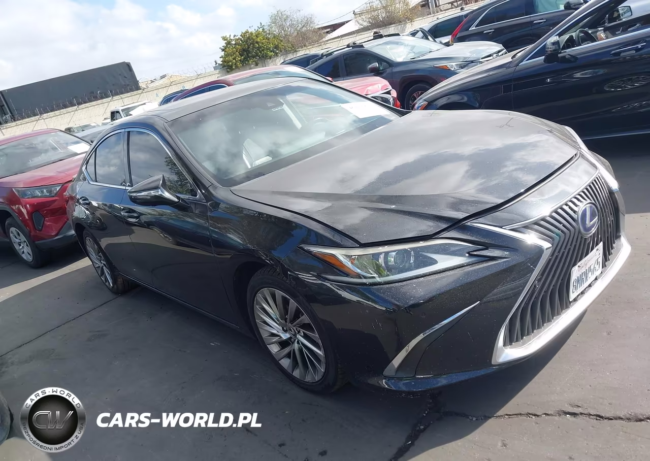 2019 Lexus Es 300H Luxury