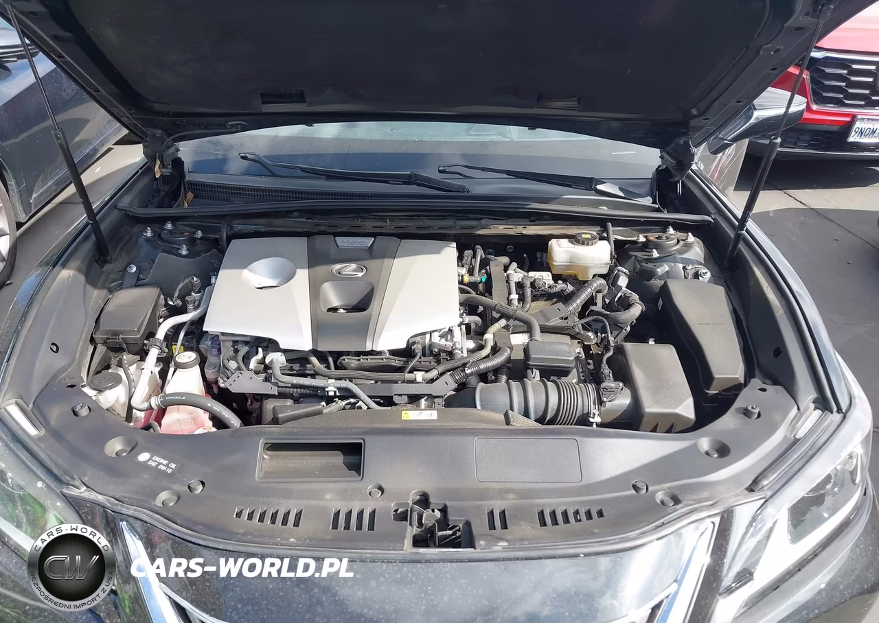 2019 Lexus Es 300H Luxury VIN:58AB21B11KU003200 - 10