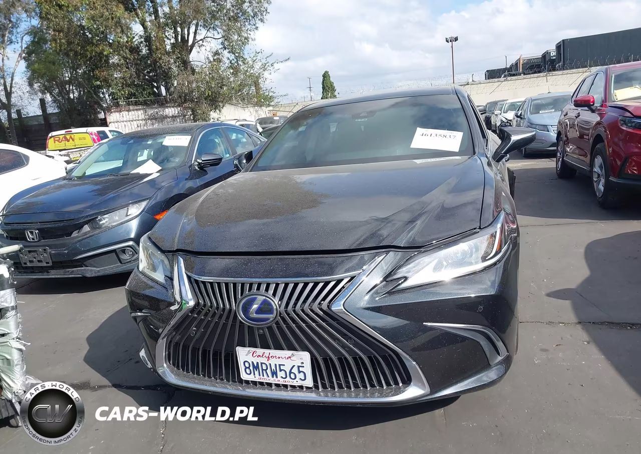 2019 Lexus Es 300H Luxury VIN:58AB21B11KU003200 - 12