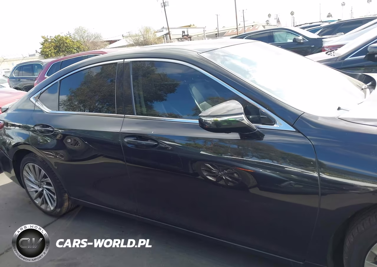 2019 Lexus Es 300H Luxury VIN:58AB21B11KU003200 - 13