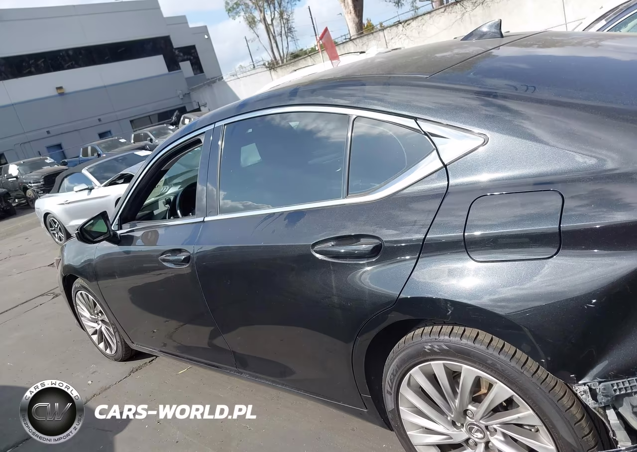 2019 Lexus Es 300H Luxury VIN:58AB21B11KU003200 - 14