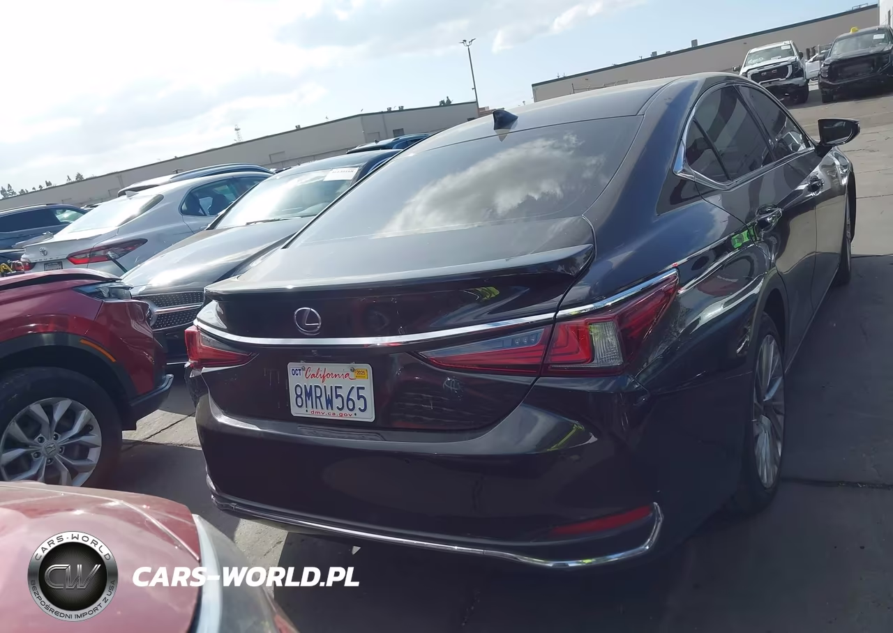 2019 Lexus Es 300H Luxury VIN:58AB21B11KU003200 - 16