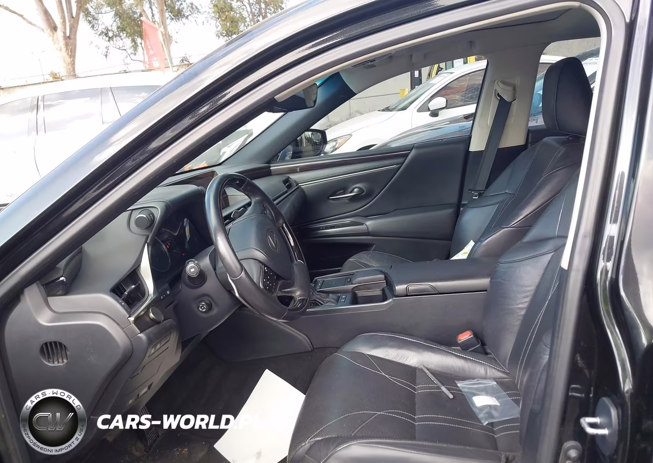 2019 Lexus Es 300H Luxury VIN:58AB21B11KU003200 - 17