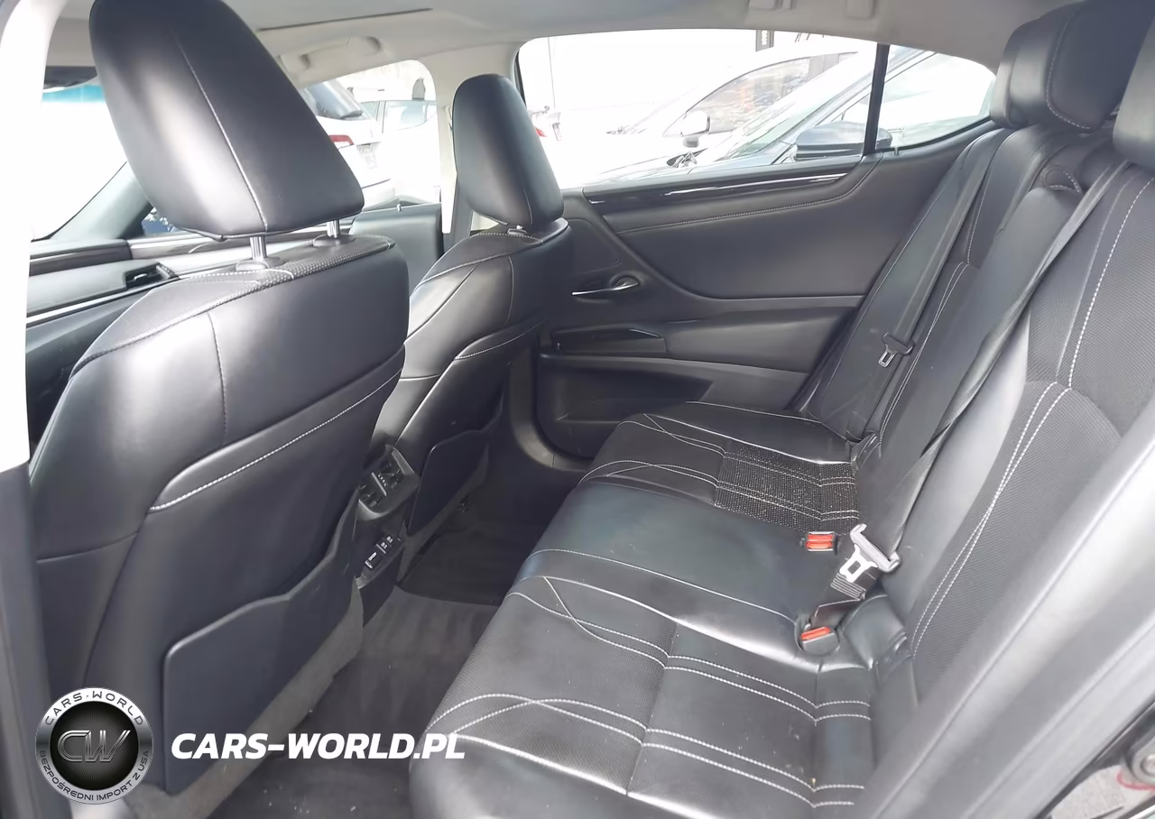 2019 Lexus Es 300H Luxury VIN:58AB21B11KU003200 - 18