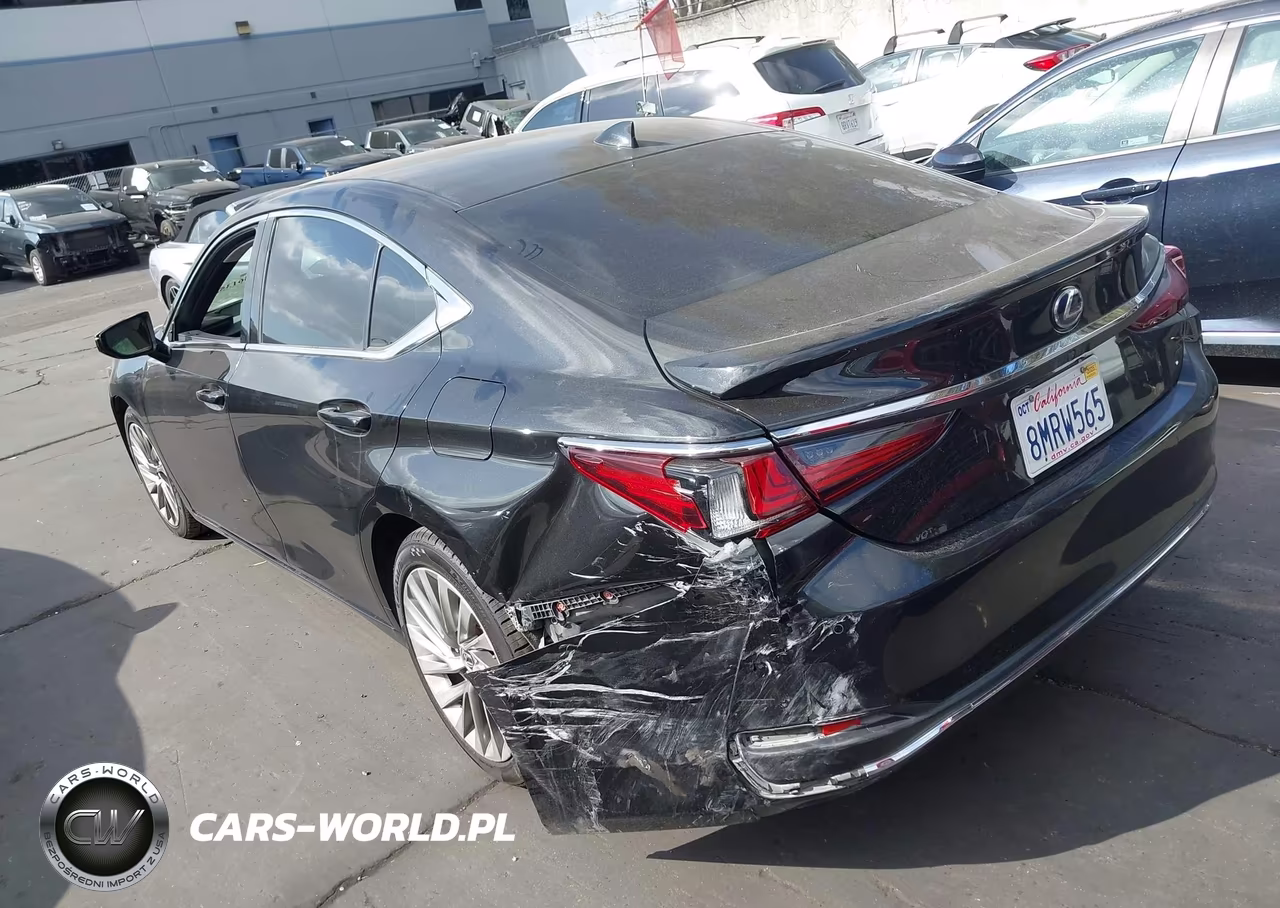 2019 Lexus Es 300H Luxury VIN:58AB21B11KU003200 - 3