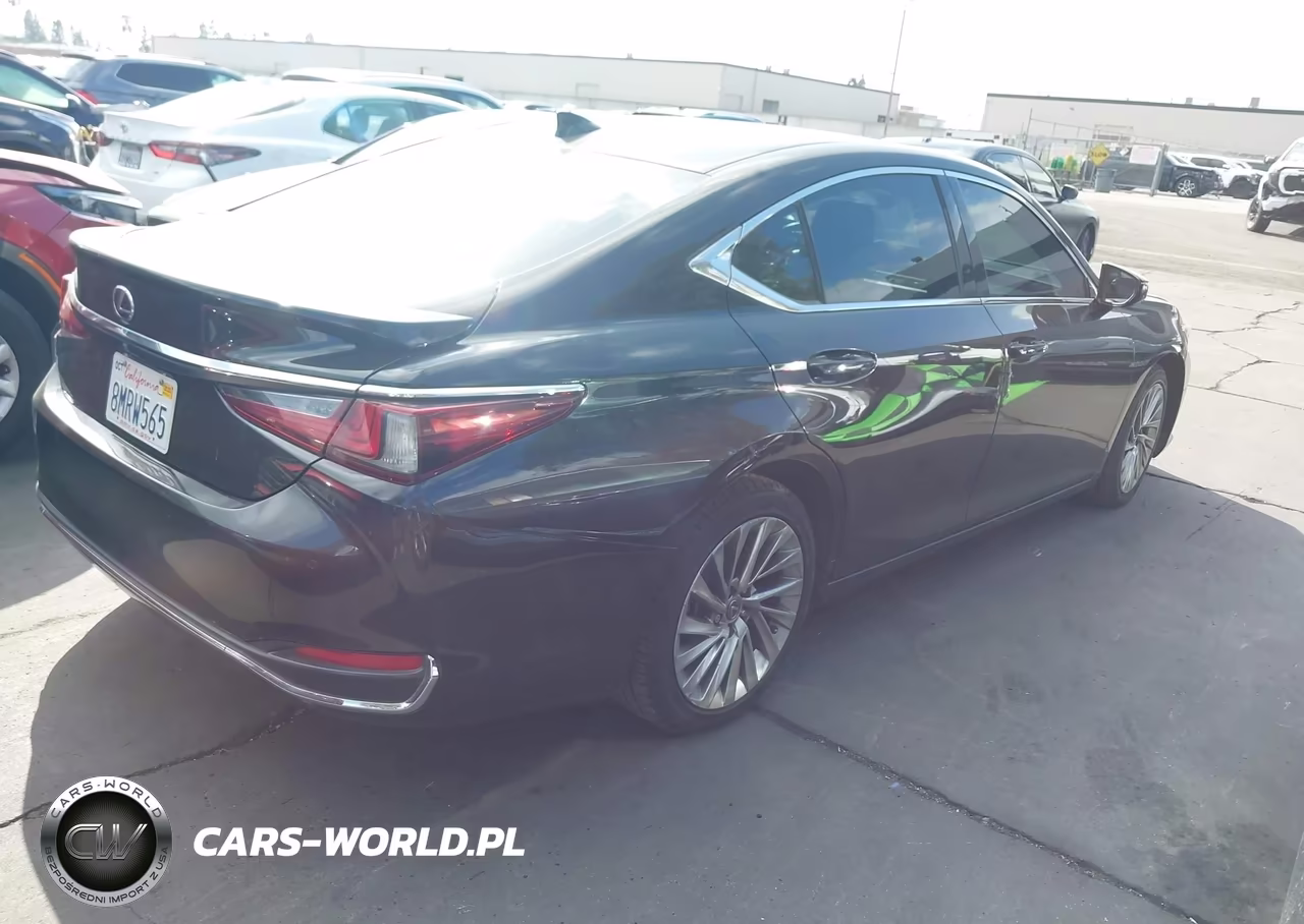 2019 Lexus Es 300H Luxury VIN:58AB21B11KU003200 - 4