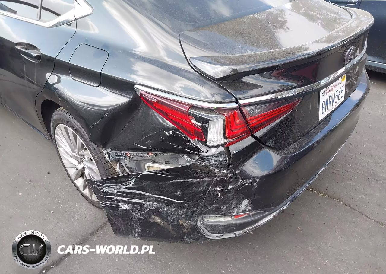 2019 Lexus Es 300H Luxury VIN:58AB21B11KU003200 - 6