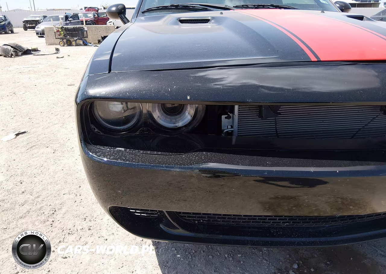 2013 Dodge Challenger Rallye Redline VIN:2C3CDYAG2DH724404 - 17