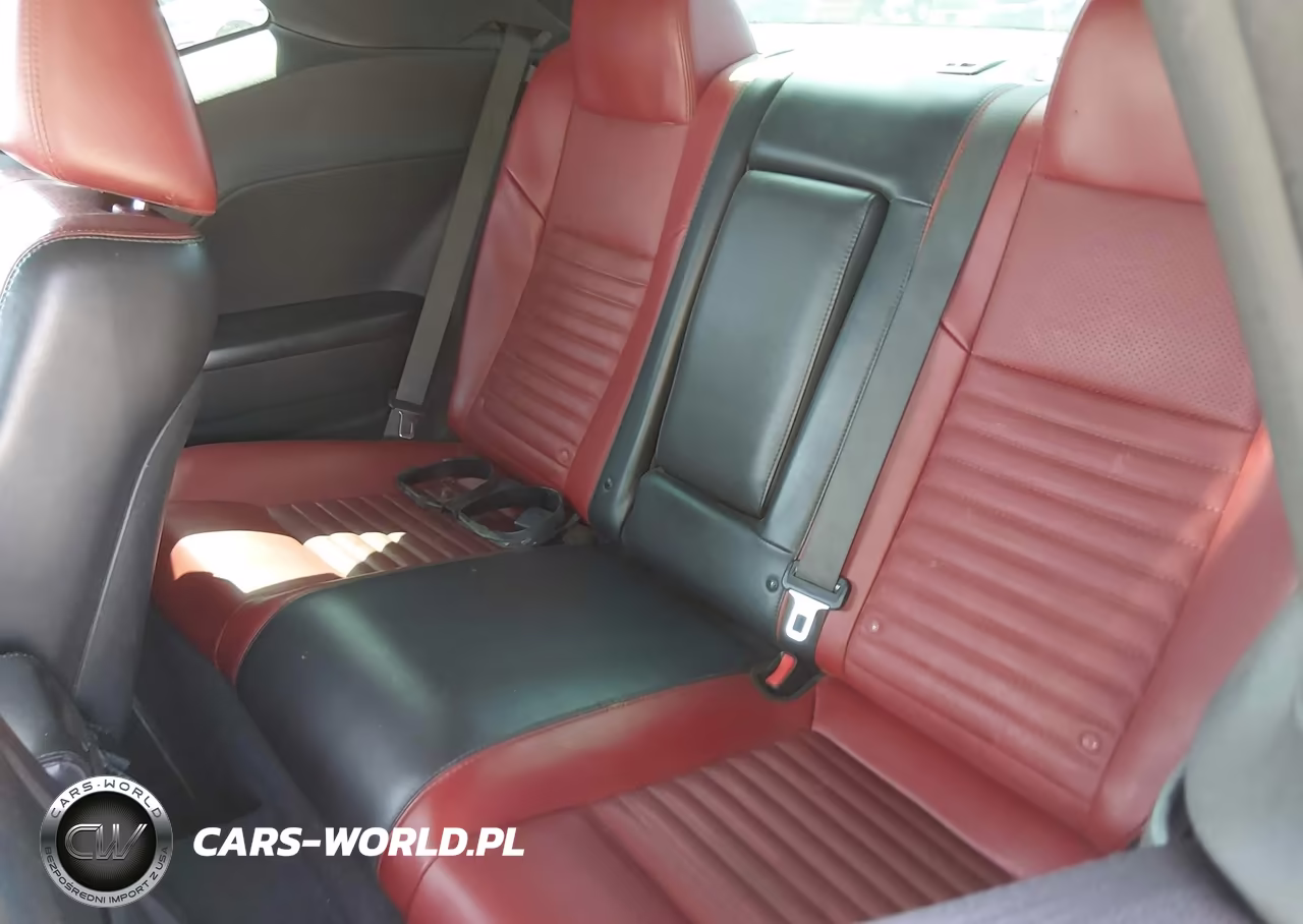 2013 Dodge Challenger Rallye Redline VIN:2C3CDYAG2DH724404 - 8