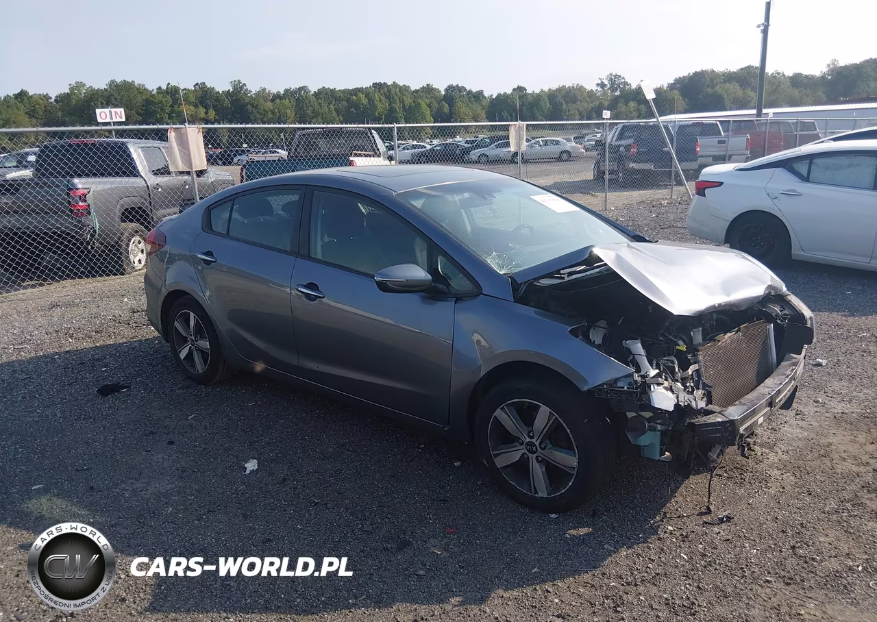 2018 Kia Forte S VIN:3KPFL4A78JE199313 - 1