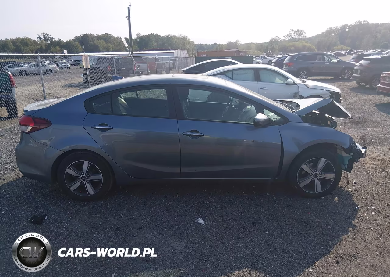 2018 Kia Forte S VIN:3KPFL4A78JE199313 - 12