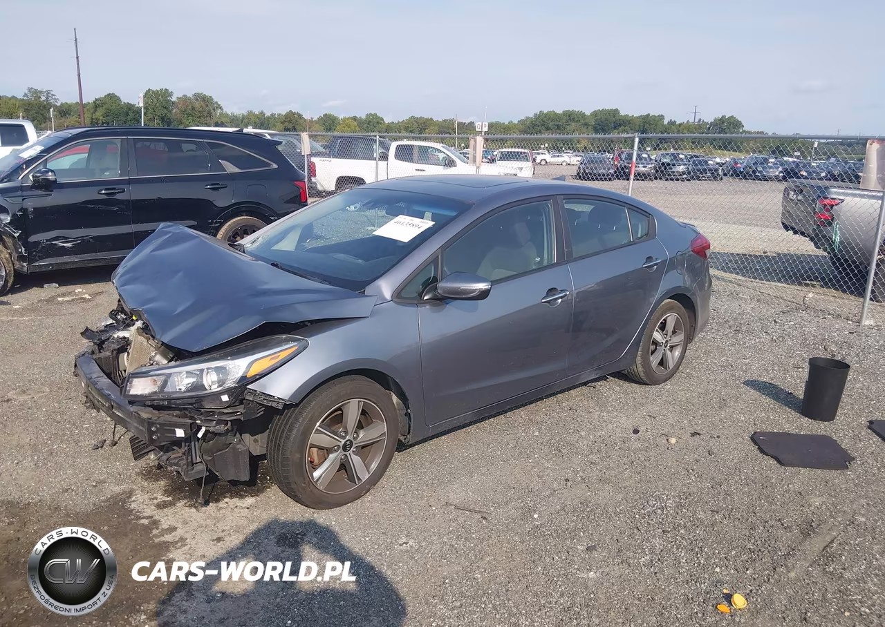 2018 Kia Forte S VIN:3KPFL4A78JE199313 - 2