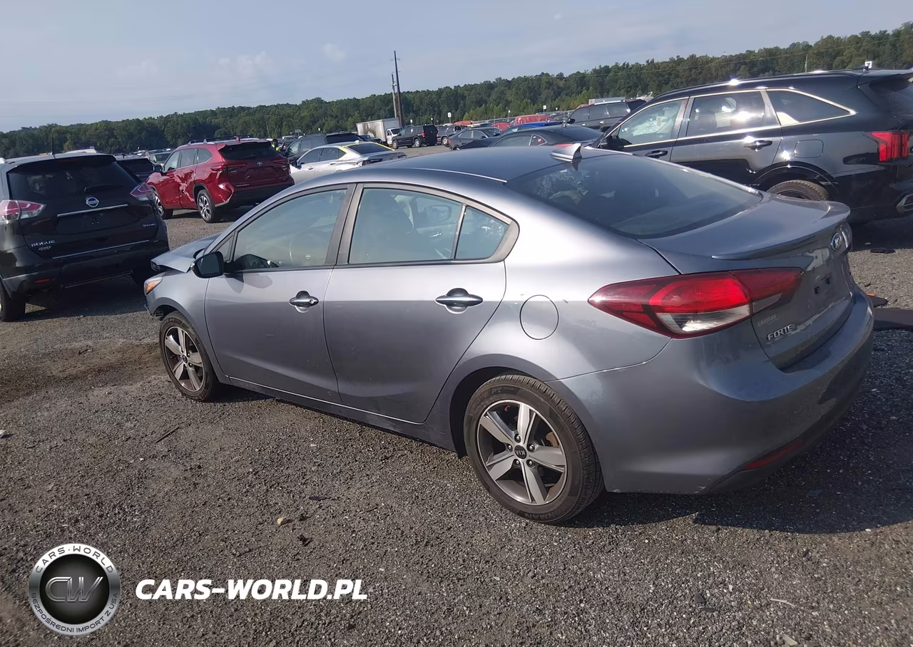 2018 Kia Forte S VIN:3KPFL4A78JE199313 - 3