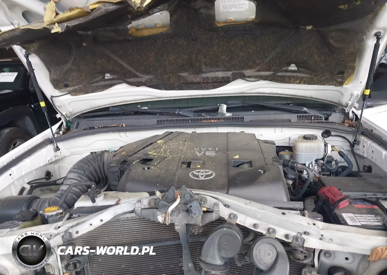 2008 Toyota 4Runner Sr5 V6 VIN:JTEZU14R08K005818 - 10