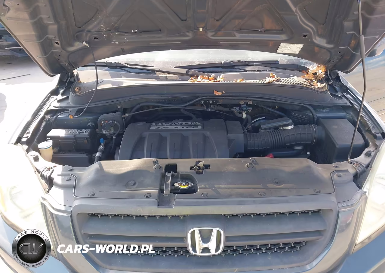 2005 Honda Pilot Ex VIN:5FNYF18405B010647 - 10