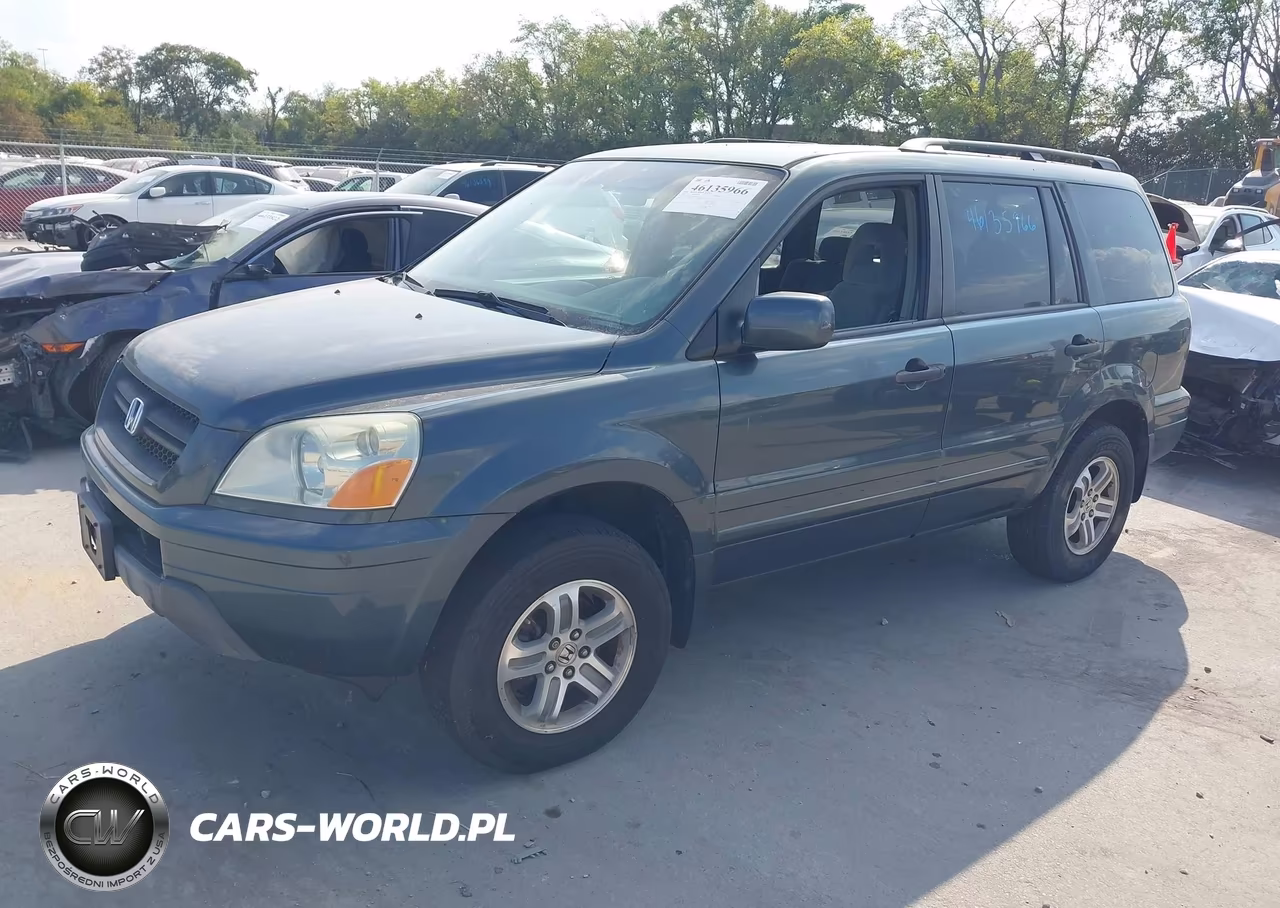 2005 Honda Pilot Ex VIN:5FNYF18405B010647 - 2