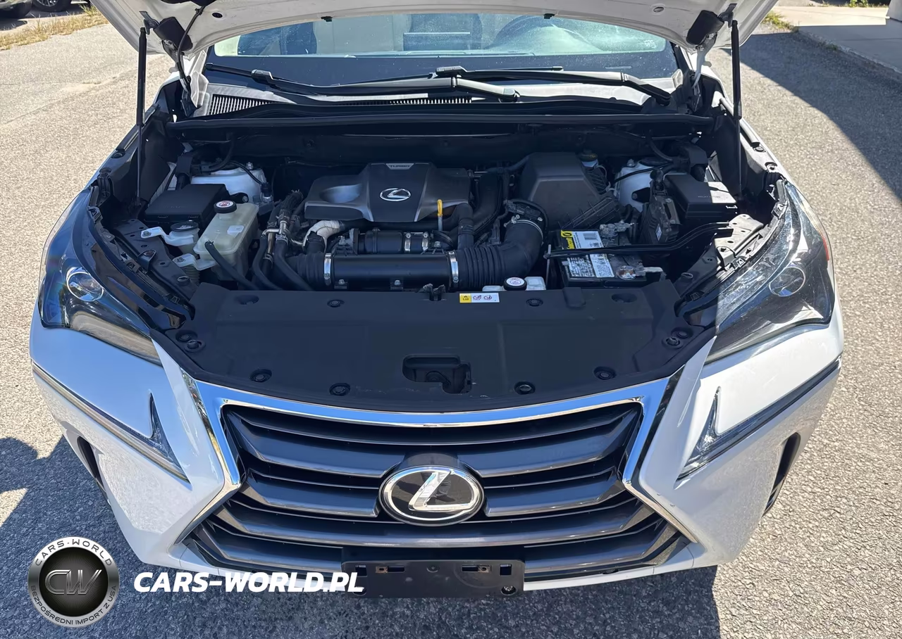 2017 Lexus Nx 200T Base VIN:JTJBARBZ2H2103083 - 10