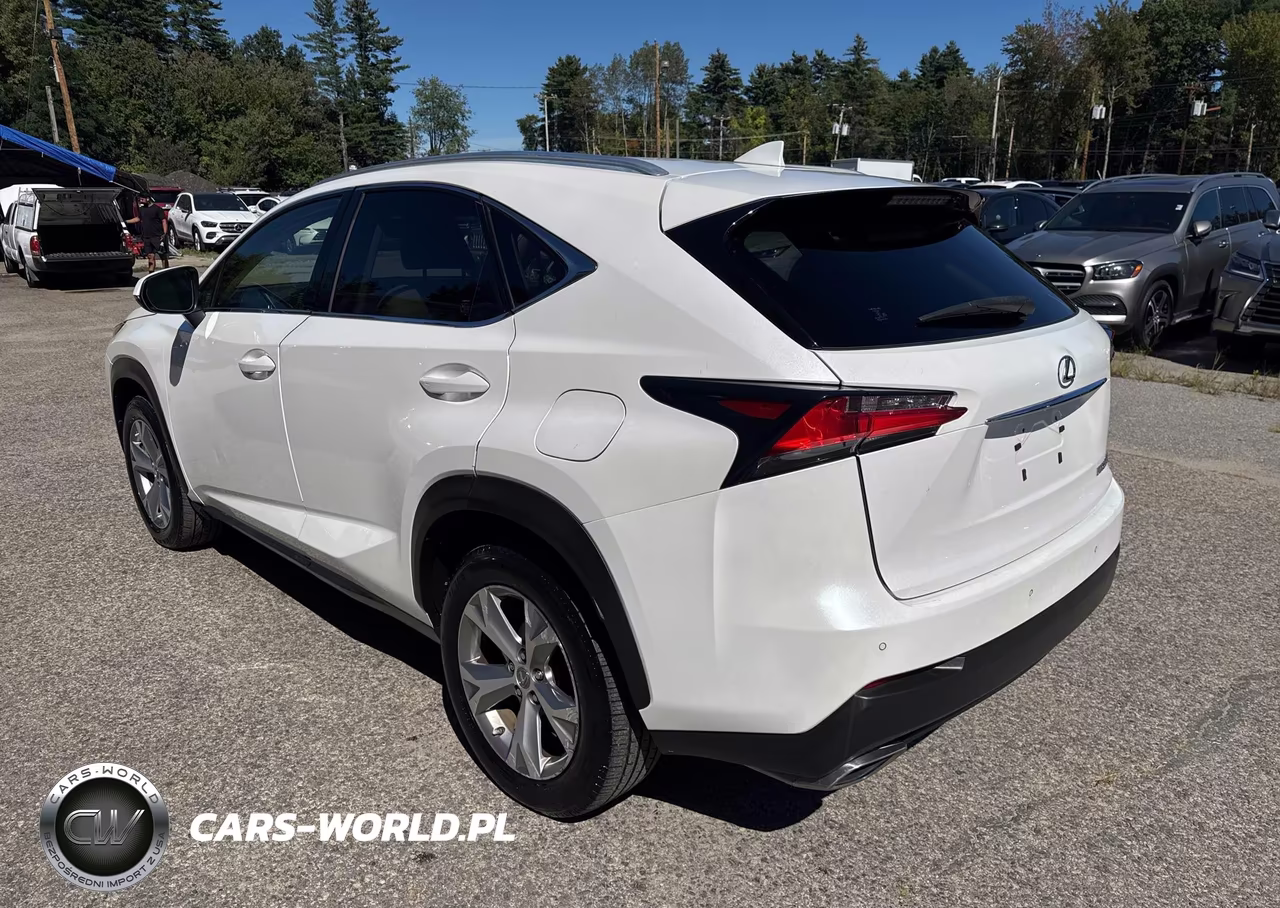 2017 Lexus Nx 200T Base VIN:JTJBARBZ2H2103083 - 3