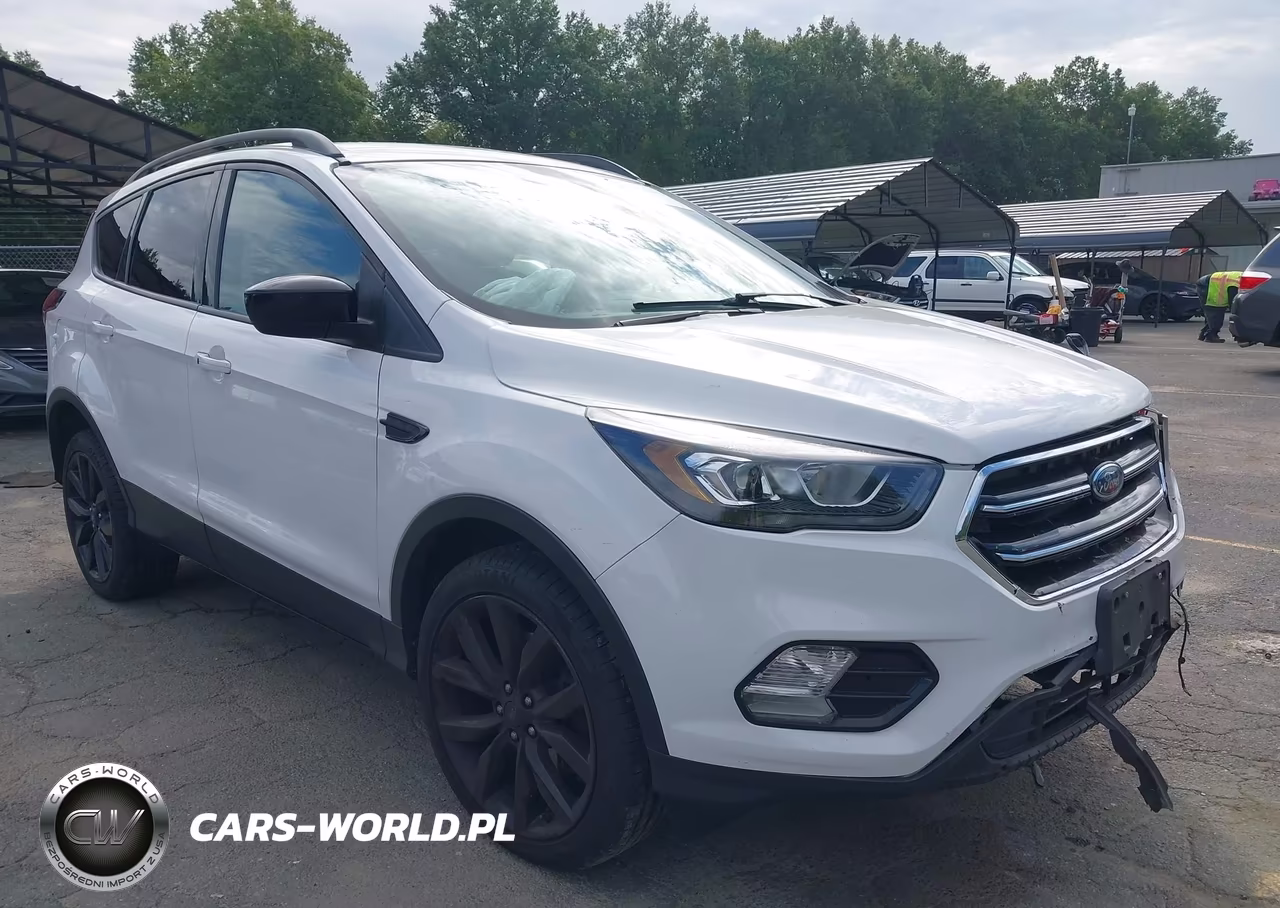 2019 Ford Escape Se