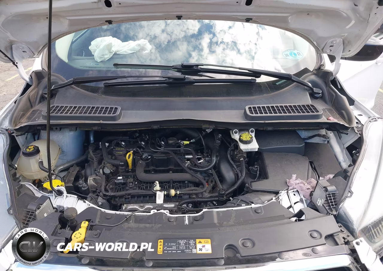 2019 Ford Escape Se VIN:1FMCU9GD9KUB91763 - 10