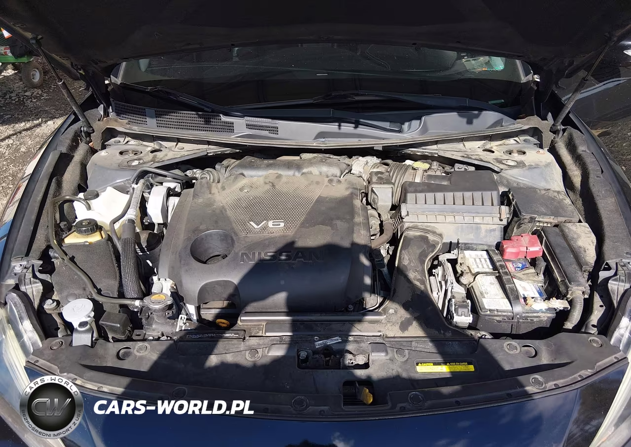 2018 Nissan Maxima 3.5 Platinum VIN:1N4AA6AP5JC409309 - 10