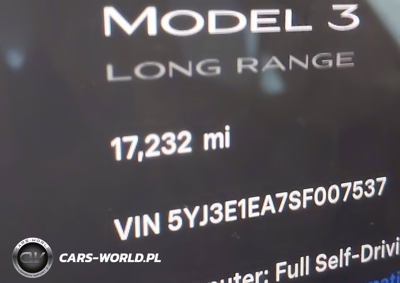 2025 Tesla Model 3 Long Range Rear-Wheel Drive-Standard Rear-Wheel Drive VIN:5YJ3E1EA7SF007537 - 15