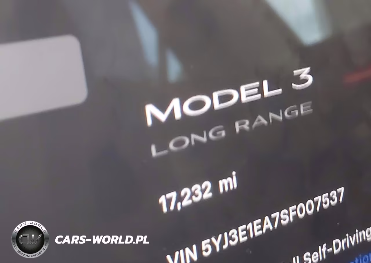 2025 Tesla Model 3 Long Range Rear-Wheel Drive-Standard Rear-Wheel Drive VIN:5YJ3E1EA7SF007537 - 7