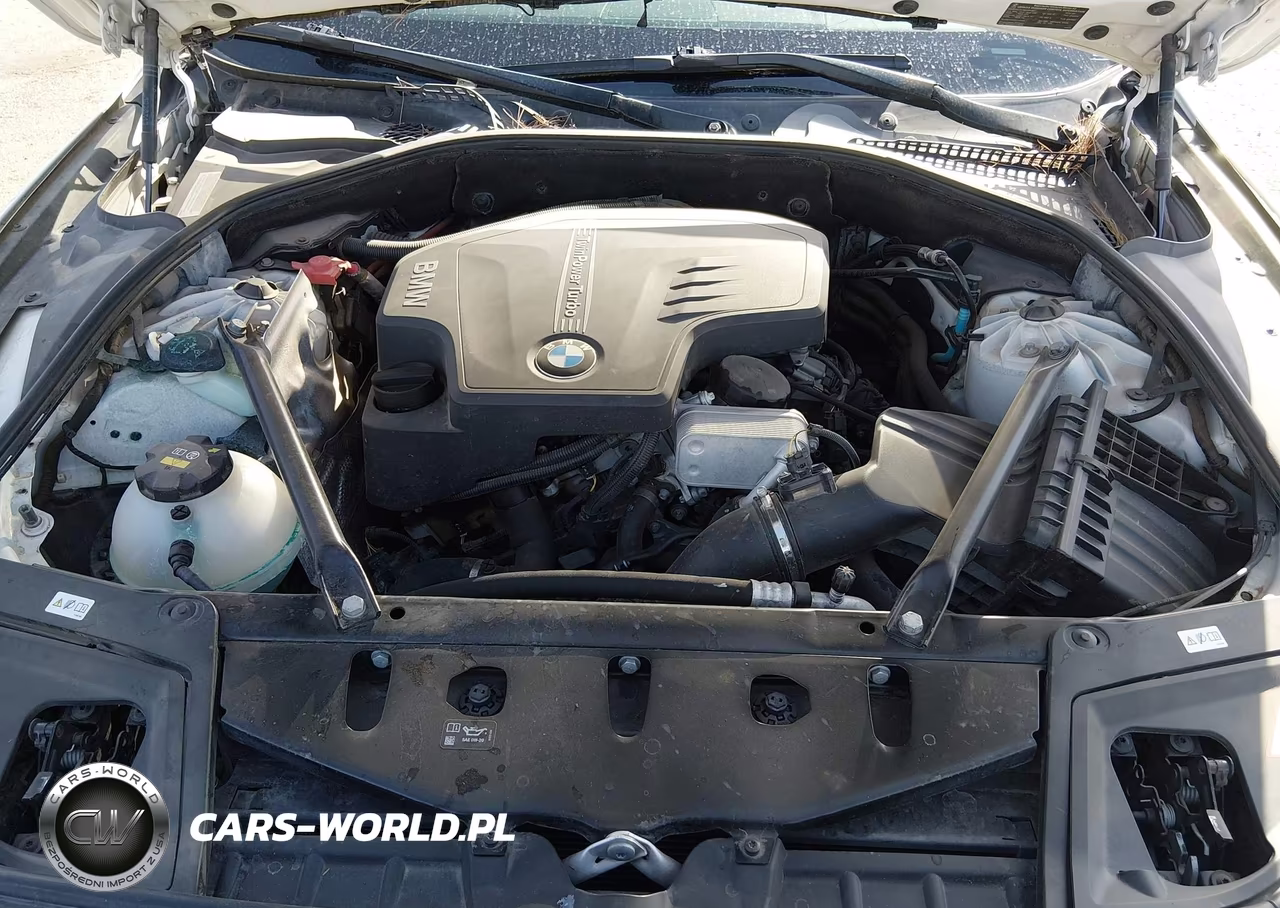 2016 BMW 528I VIN:WBA5A5C52GD529263 - 10